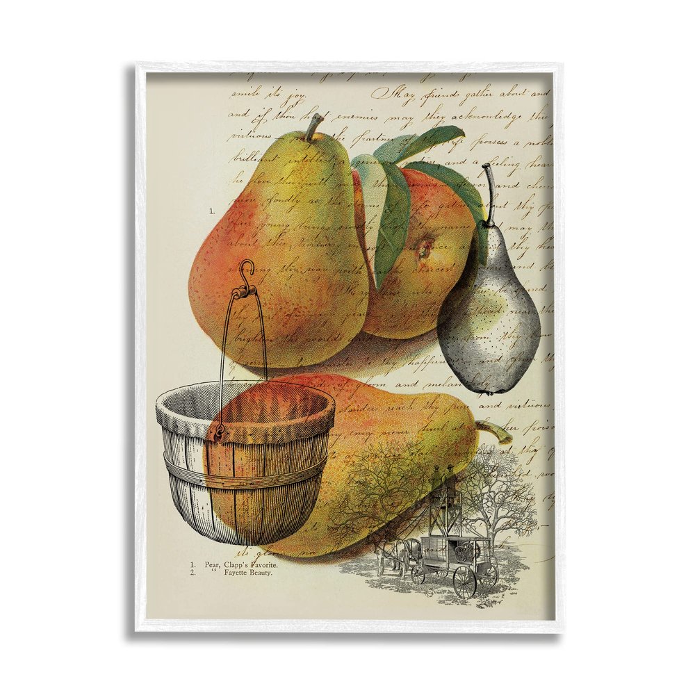 Stupell Industries Pear Fruit Harvest Illustration Vintage Text Passage, Design by Daphne Polselli