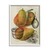Stupell Industries Pear Fruit Harvest Illustration Vintage Text Passage, Design by Daphne Polselli view 1