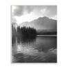 Stupell Industries Lakeside Spruce Tree Forest Outdoor Landscape Photography, Design by Daniel Sproul view 1