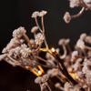Hairui Artificial Baby Breath Flowers Tree with Lights 5FT 126LED,Prelit Lighted Gypsophila twig Tree for Wedding Party Christmas Holiday Decoration Indoor Outdoor Use view 2