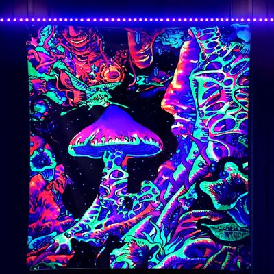 ADDWel Blacklight Mushroom Tapestry, Upright Tapestry Glow In The Dark, UV Reactive Black Light Tapestries Posters Wall Hanging for Backdrop Bedroom Dorm Living Room Decor(60"x80")