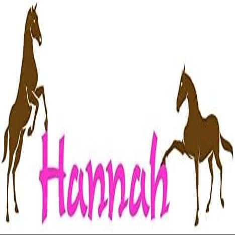 Horse decal wall personalized sticker wall words horse and rider girls room name decal teen girl bedroom wall decor western wall decal (12 X 24 inches)