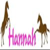 Horse decal wall personalized sticker wall words horse and rider girls room name decal teen girl bedroom wall decor western wall decal (12 X 24 inches) view 1