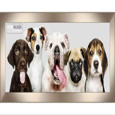 13.5x40 Contemporary Pewter Complete Wood Panoramic Frame with UV Acrylic Plexiglass, Foam Board Backing & Hardware Included