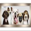 13.5x40 Contemporary Pewter Complete Wood Panoramic Frame with UV Acrylic Plexiglass, Foam Board Backing & Hardware Included view 1