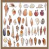 11x17 Gold Shadowbox Frame - Shadow Box Frame Interior Size 11x17 by 2.5 Inches Deep - Gold Frame is Made to Display Items Up to 2.5 Inches Deep! Includes Shatter Resistant Acrylic, Backing, Hardware view 3