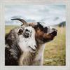Poster Palooza 17x17 Distressed/Aged White Washed Complete Wood Square Picture Frame with UV Acrylic Plexiglass, Foam Board Backing & Hardware Included view 1