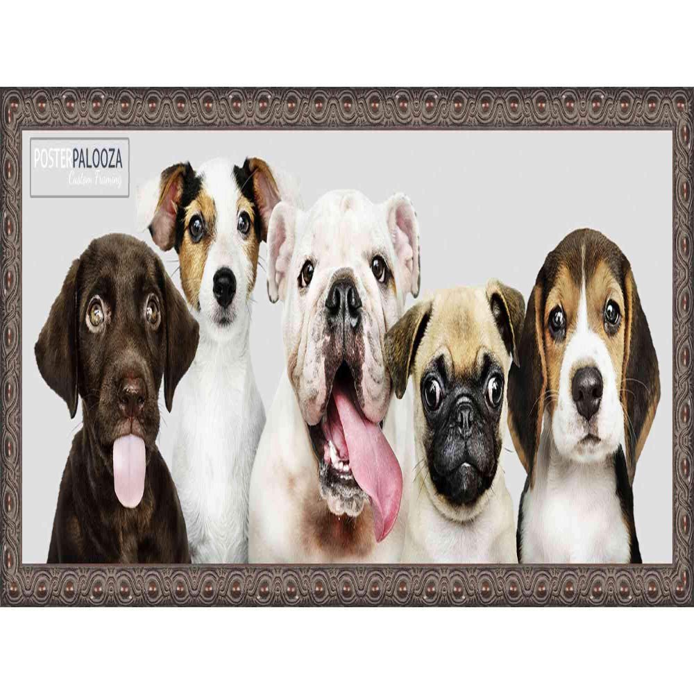 Poster Palooza 13.5x40 Ornate Complete Wood Panoramic Frame with UV Acrylic Plexiglass, Foam Board Backing & Hardware Included