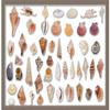 10x20 Silver Shadowbox Frame - Shadow Box Frame Interior Size 10x20 x 2.5 Inches Deep - Silver Frame Made to Display Items Up to 2.5 Inches Deep Includes Shatter Resistant Acrylic, Backing, Hardware view 3