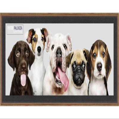 Poster Palooza 10x30 Traditional Complete Wood Panoramic Frame with UV Acrylic Plexiglass, Foam Board Backing & Hardware Included