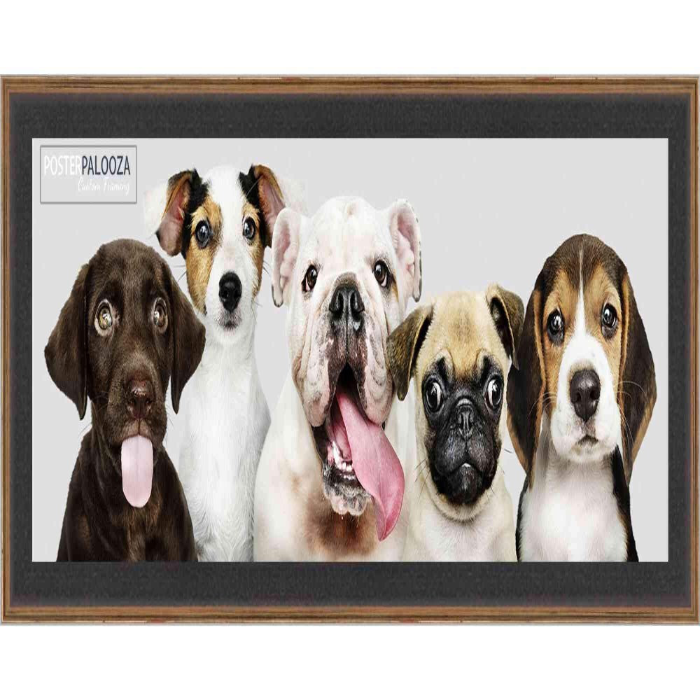 Poster Palooza 10x30 Traditional Complete Wood Panoramic Frame with UV Acrylic Plexiglass, Foam Board Backing & Hardware Included