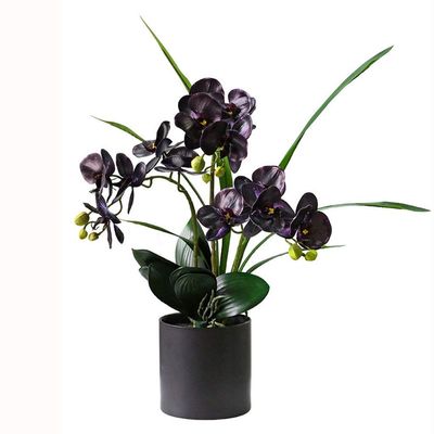Artificial Flower Artificial Flower Faux Phalaenopsis Flower Arrangement Artificial Orchid Bonsai in Pot Fake Flower Plant Decor Height 25.6" (Color : Black)