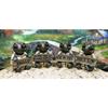 Baby Sea Turtle Set of 4 Figurine Holding Signs W/ Funny Sayings view 4