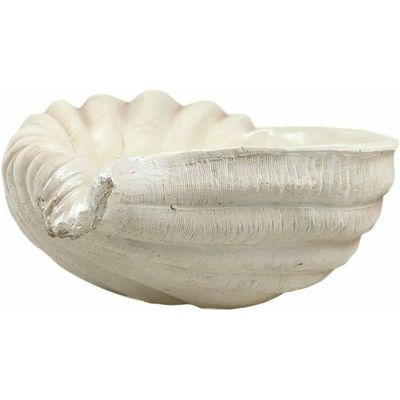 16" Long Giant Sea Tun Shell Display Container Dish Bowl