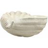 16" Long Giant Sea Tun Shell Display Container Dish Bowl view 1