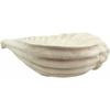 16" Long Giant Sea Tun Shell Display Container Dish Bowl view 3