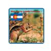 Colorado Resident Hardboard Beverage Jigsaw Puzzle Coasters Square (Set of 4) (Colorado Resident) view 1