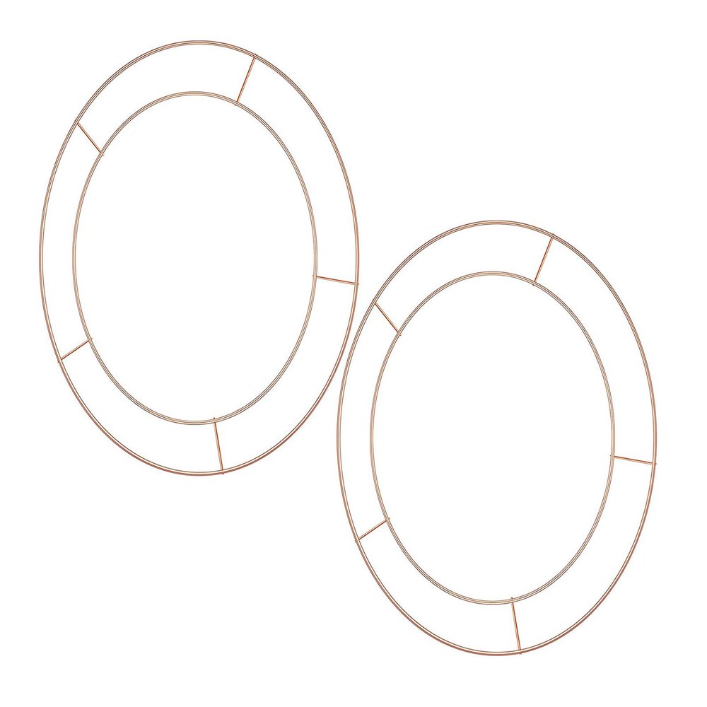 2PCS Round Wreath Frame, Flower Arrangement Iron Ring Metal Flower Wreath Frames Circle Wire Wreath DIY Floral Crafts for Party Door Home Decor Supplies (30cm)
