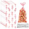 100 Pieces Ballet Cellophane Goody Bags Ballet Girl Plastic Goody Bag Dancing Girls Transparent Candy Bags with 100 Pieces Silver Twist Ties for Ballet Theme Baby Shower Birthday Party Decors, Pink view 1