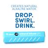 Alkaline Water Stick for Water Bottles | Stands Dry to Keep Clean Unlike Others | 9.5pH & Electrolytes view 2