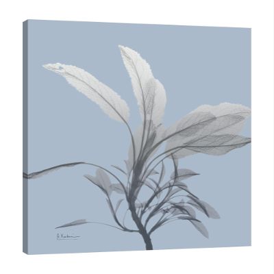 Jaxson Rea "Skyway Sage Gallery Wrapped Canvas by Albert Koetsier, 24" x 32"