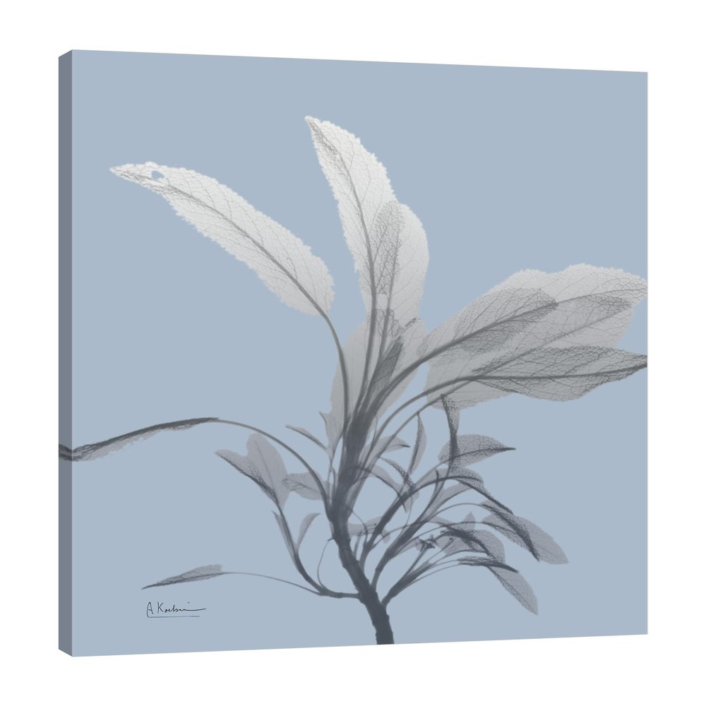 Jaxson Rea "Skyway Sage Gallery Wrapped Canvas by Albert Koetsier, 24" x 32"