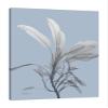 Jaxson Rea "Skyway Sage Gallery Wrapped Canvas by Albert Koetsier, 24" x 32" view 1