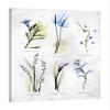 Jaxson Rea "Vast Botanicals Gallery Wrapped Canvas by Albert Koetsier, 24" x 32" view 1