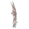 10-Light 15-Inch 8-Point Capiz Silver Star Tree Topper view 3