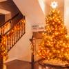 JMEXSUSS Connectable 33ft Orange Christmas Lights Indoor, 100 LED Orange String Lights Clear Wire, 8 Modes Outdoor Christmas Twinkle Light Plug in for Tree Party Decoration view 2