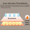Plush Futon Mattress Floor Mattress Twin Mattress Topper Down Alternative Pillow Topper 10cm Thick Mattress Pad Thicken Sleeping Pad Foldable Roll Up(Pink,100x200cm) view 4