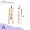 BAZIC Products Clothes Pin Mini 1", Natural Wood Clothespins, Non Toxic Wooden Photo Clips for Art Craft Decor (50/Pack), 24-Packs view 2