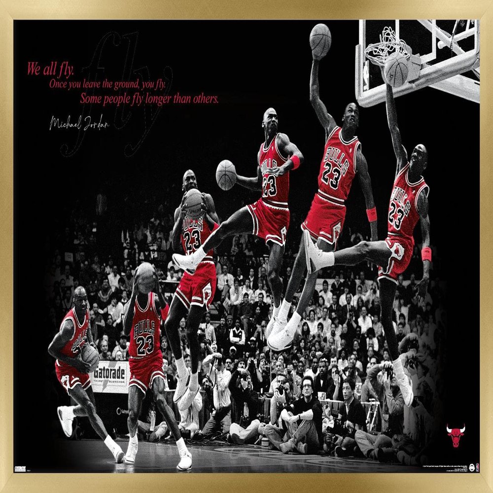 Trends International Michael Jordan - Fly Wall Poster, 22.375" x 34", Gold Framed Version