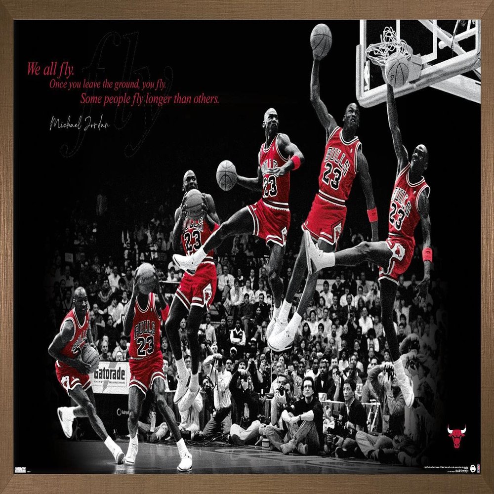 Trends International Michael Jordan - Fly Wall Poster, 22.375" x 34", Bronze Framed Version