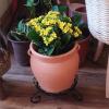 YUEYOULII Bonsai Base Vase Base Round Iron Flower Pot Base Mobile Flower Pot Tray Flower Stand Potted Ornaments Black (Color : 1PCS) view 3