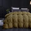1 PC Pinch Pleated Comforter 100% Best Cotton 500 GSM Fill Power Amazing Decorative Pin Tuck Comforter-All Season Goose Down AlternativeWarm Ultra Fluffy Oversized Queen-Taupe Best Collection view 1