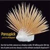 Znet3D Porcupine Toothpick Holder & Dispenser - Porcupick - 150 toothpicks (Pink) view 2