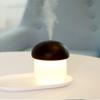 Humidifier Aroma Diffuser 250 ml Portable Mini USB Humidifier, with Night Light, Auto Shut-Off, for Car, Desk, Travel, Bedroom (Walnut) view 1