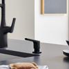BLANCO 443029 Kitchen Faucets and Accessories, Matte Black view 2