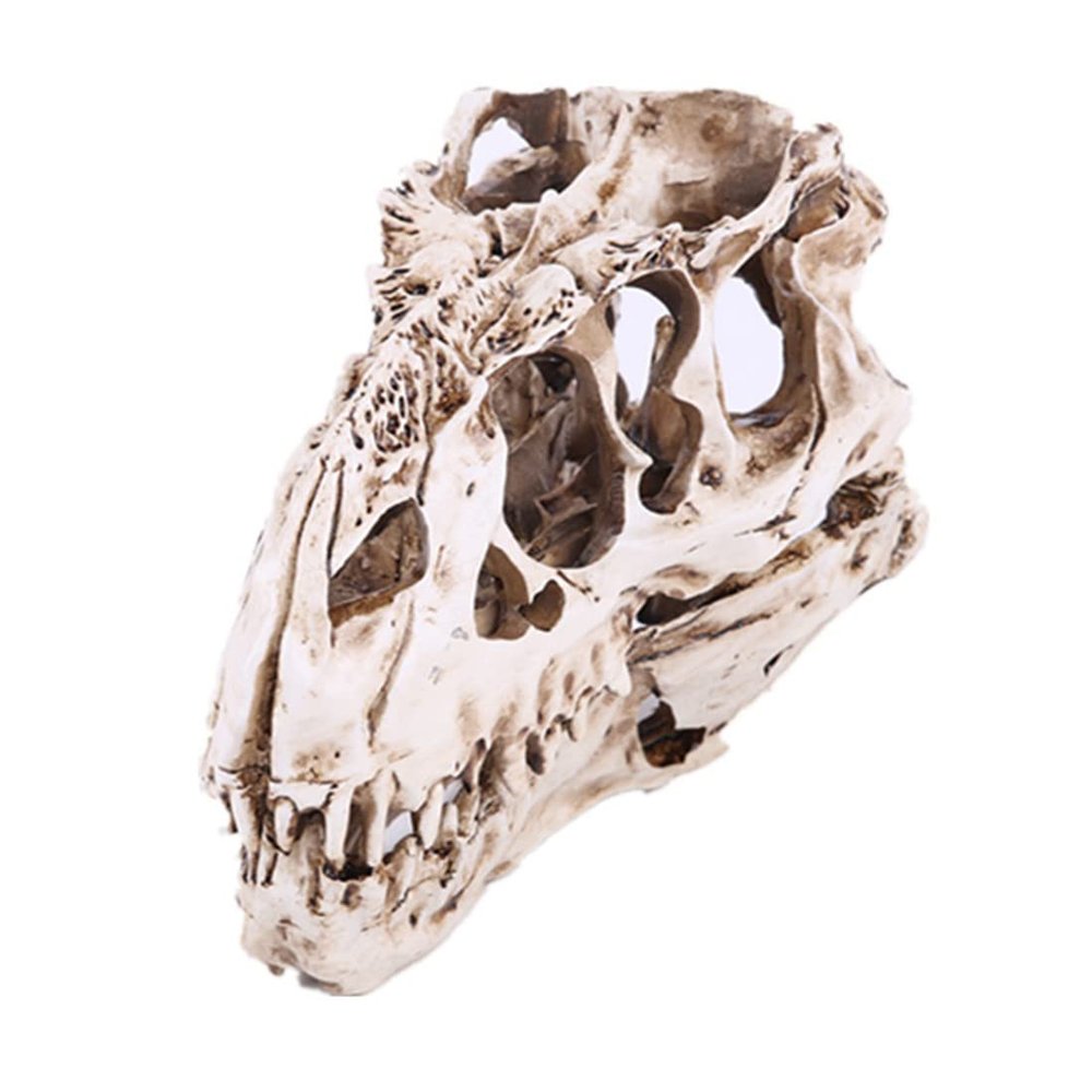 JNKET Resin Dinosaur Skull Model Skeleton Head Sculpture Ornaments for Home Decor Teaching Prop