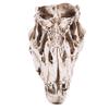 JNKET Resin Dinosaur Skull Model Skeleton Head Sculpture Ornaments for Home Decor Teaching Prop view 2