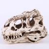 JNKET Resin Dinosaur Skull Model Skeleton Head Sculpture Ornaments for Home Decor Teaching Prop view 3