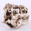JNKET Resin Dinosaur Skull Model Skeleton Head Sculpture Ornaments for Home Decor Teaching Prop view 4