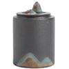 10cm Chinese Pottery Hand Painted Tea Caddy Creative Storage Jar Kung Fu Tea Ceremony view 1