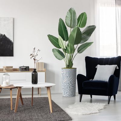 Artificial Tree in Contemporary Geometric Pattern Planter, Fake Bird of Paradise Silk Tree for Indoor and Outdoor Home Decoration - 67" Overall Tall (Plant Pot Plus Tree)