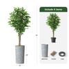 Artificial Tree in Contemporary Geometric Pattern Planter, Fake Ficus Silk Tree for Indoor and Outdoor Home Decoration - 75" Overall Tall (Plant Pot Plus Tree) view 3