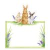 Caspari Bunnies and Daffodils Die-Cut Place Cards, 40 Count view 1