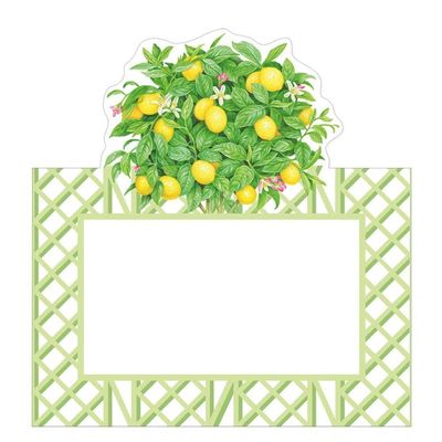 Caspari Citrus Topiaries Die-Cut Place Cards, 24 Count