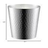 Tanabe Metal Fittings, 4833, Hana Rock Glass, Hammered, 10.1 fl oz (300 ml), Matte, Made in Japan, Tsubamesanjo view 2