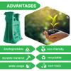 200 Pcs Biodegradable Green T-Shirt Bags 22 x 12 Inch with Handles, Thank You Carry Out Bags for Grocery Retail Restaurant Takeout, Lightweight Reusable Shopping Bags for Small Business Supplies view 3